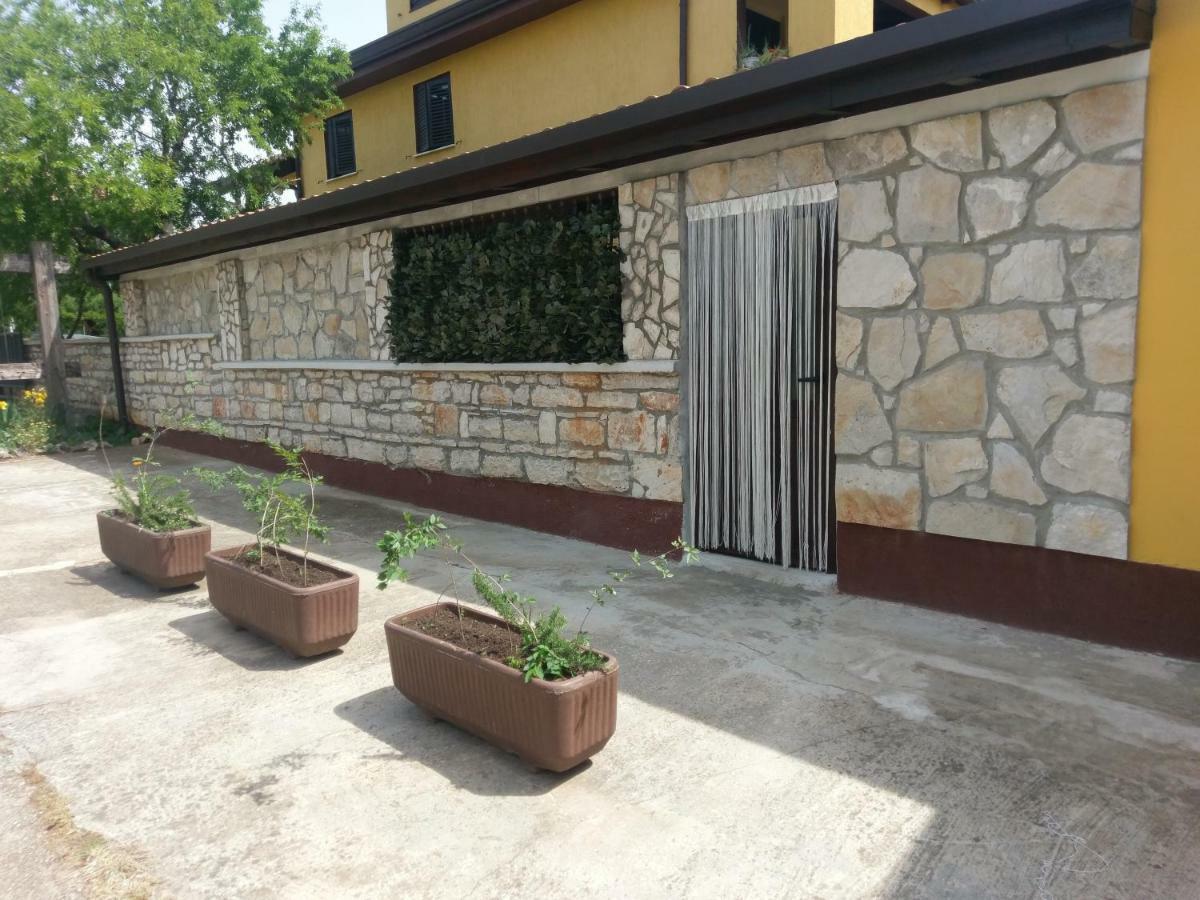 Apartments Ingrid Novigrad  Exterior photo