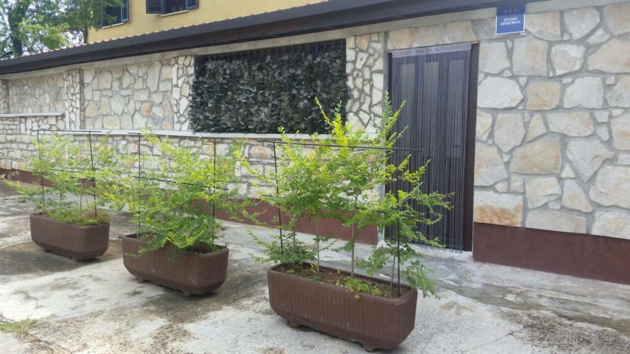 Apartments Ingrid Novigrad  Exterior photo